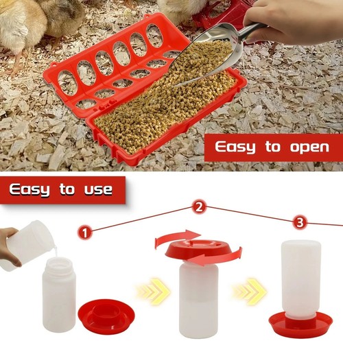 Automatic chicken feeder - chicken, &