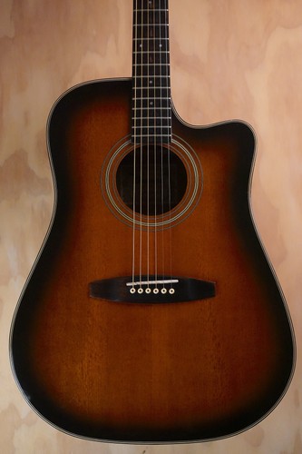 Ibanez ls305 dreadnought - ibanez,