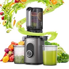 Juicer Slow Juicer for Fruits