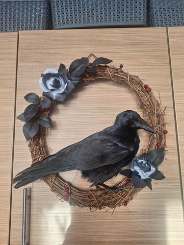 Taxidermy carrion crow wreath - carrion,