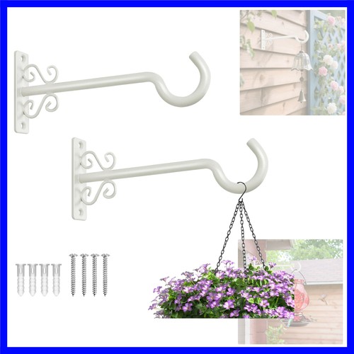 Plant hangers inch - plant,