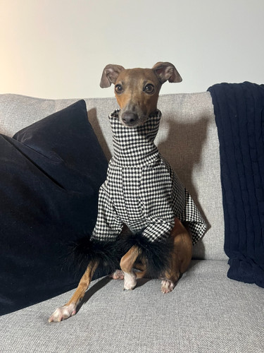 Handmade italian greyhound - handmade,
