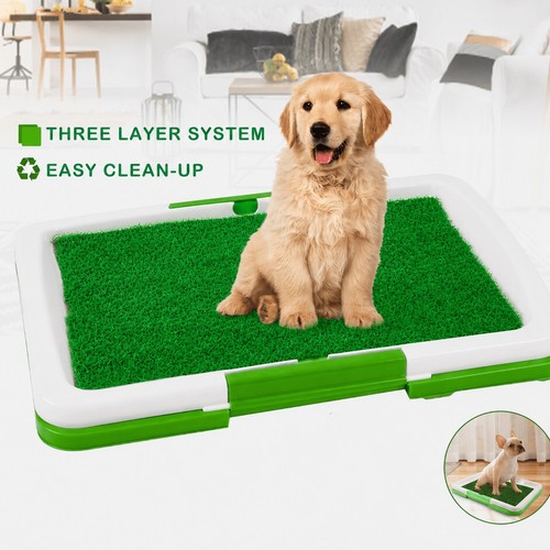 Dog grass pad - dog,