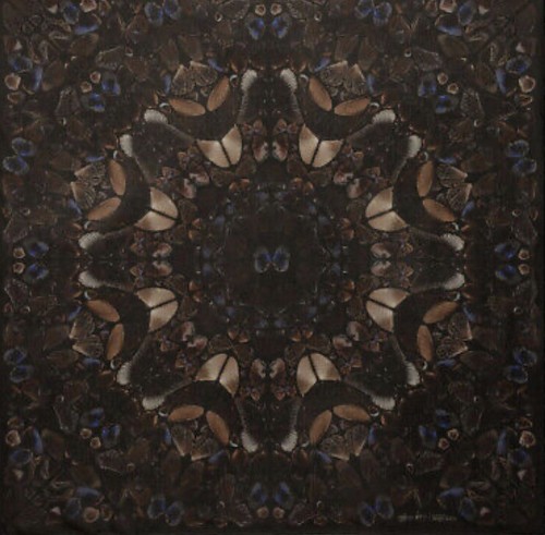 Damien hirst alexander - damien,