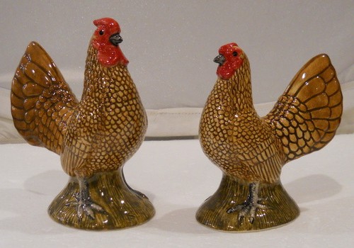 Quail golden seabright hen - seabright, &