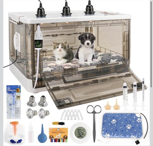Puppy kitten incubator - puppy/kitten, with