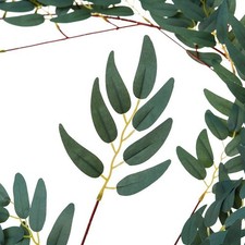 For Wedding Arch Willow