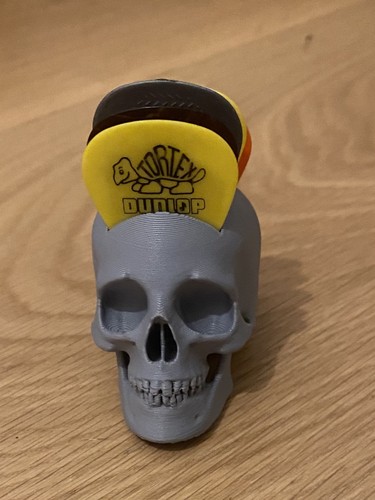 Printed skull guitar pick - skull,