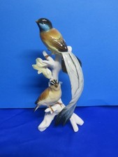 KARL  ENS  "  BIRDS  OF  PARADISE"   MALE  &  FEMALE  BIRDS