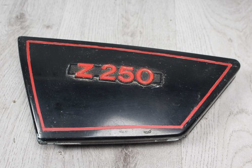 Front left fairing - left,