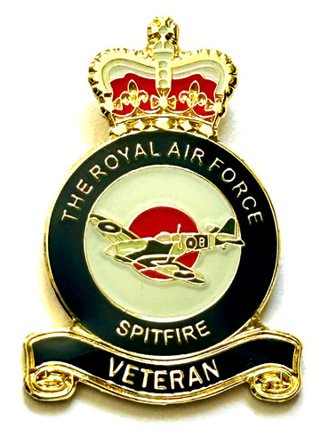 Raf the royal air force - the,