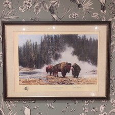 David Shepherd. The hot springs of yellow stone 1280/1500