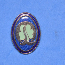 Rare Girl Guides Quest Award badge in very good condition