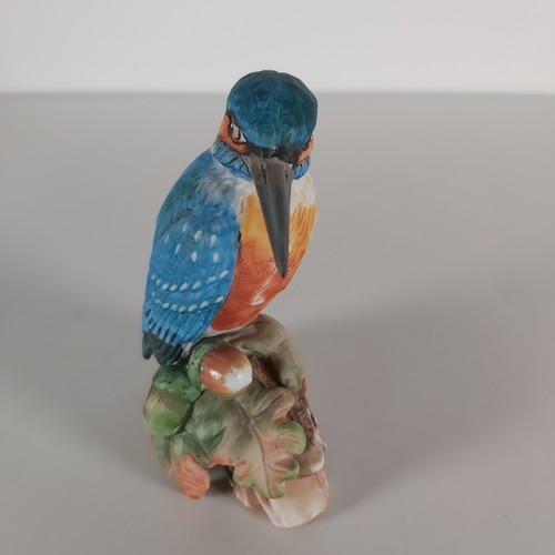 Countryside bird porcelain - bird,