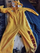 pudsey children in need all in