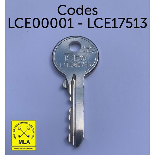 Iseo replacement spare key - iseo,