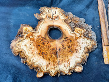 Book Matched Burl Elm, Elm