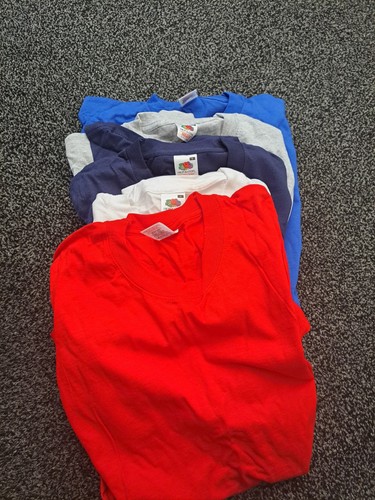 Fruit the loom - the, men's