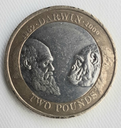 Rare collectible charles - collectible,