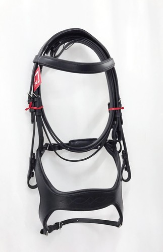 Anatomical leather fancy - anatomical,