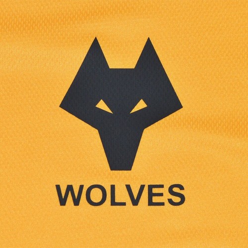 Wolverhampton wanderers - wolverhampton,