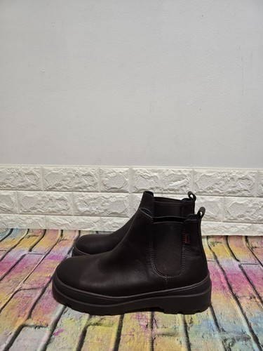 Camper brutus trek - ,