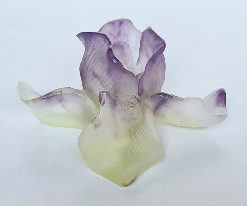 Daum iris violet and - violet,