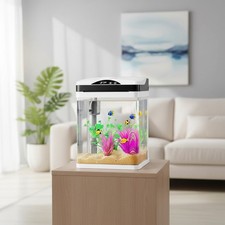 Ultra-Clear 2 Gallon Fish Tank
