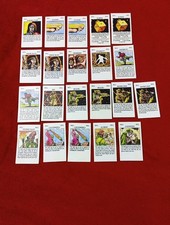 Talisman The Magical Quest