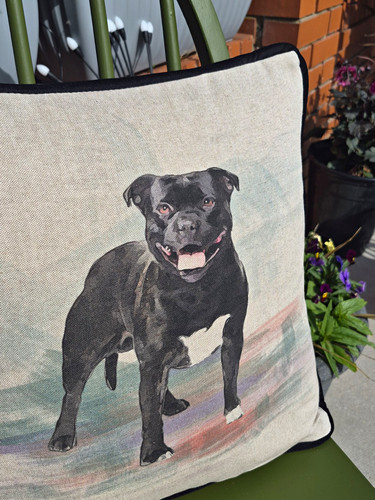 Staffordshire bull terrier - staffordshire,