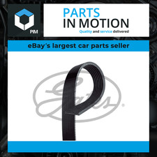 7 Rib Multi V Drive Belt 78419