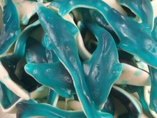 Giant dolphins blue white - giant,