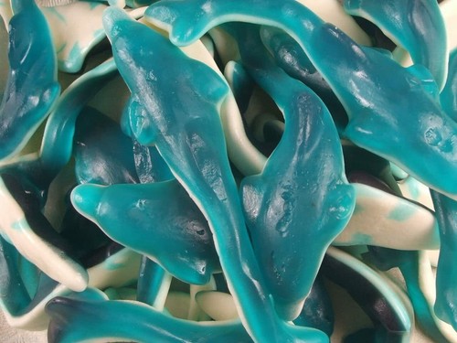 Giant dolphins blue - giant,