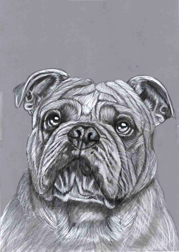 Original pencil drawing - original, b&w