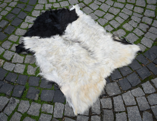 Angora goat leather goatskin - goat,