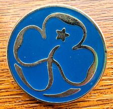 Girl guide promise - promise, blue