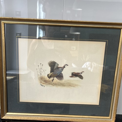 Vintage framed print fish - framed,