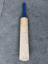 Salix Warrior Cricket Bat SH