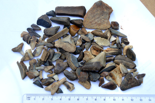Wow 100 grams rare - wow,