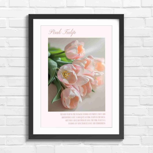 Soft pink tulips blooming - tulips,