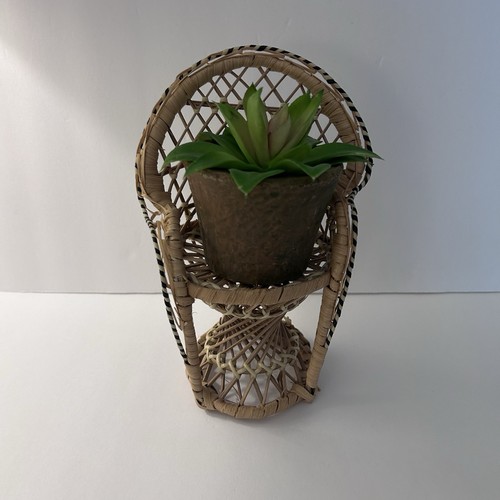 Wicker peacock style accent - wicker,