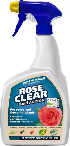 Roseclear ready to use - in,