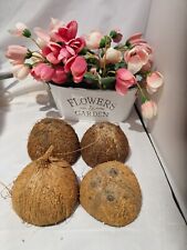 coconut shell halves- 4 Uk