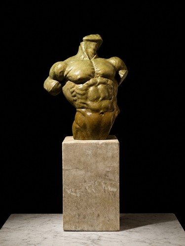 Male bronze torso volonte - male,