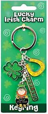 Lucky Irish Charm Leprechaun/Horseshoe Metal Keyring  (sg 00525)