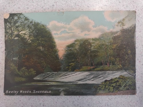 1911 beeley woods - 1911,