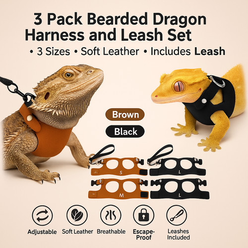 Bearded dragon harness leash - bearded, 3