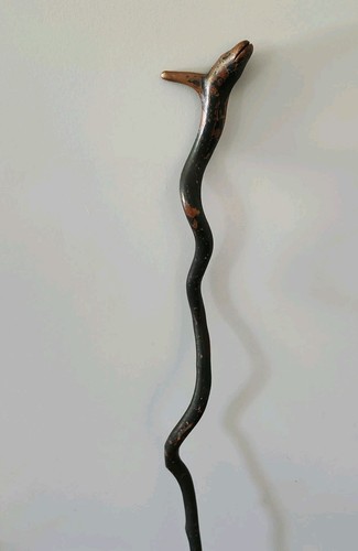 Natural serpent vine - serpent,
