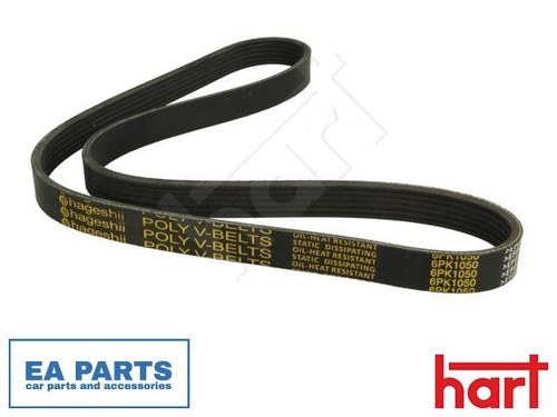 Ribbed belt for - belt, vw
