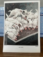 Bonzo Print 1922 Portfolio The Sketch Vintage (Also Ran!)